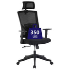 COZONY High-Back Office Chair with Adjustable Lumbar Support, Mesh Desk Chair with Flip-Up Armrests for Home or Office